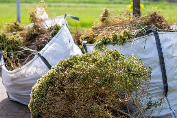 Best Construction Debris Removal  in Hinton, WV